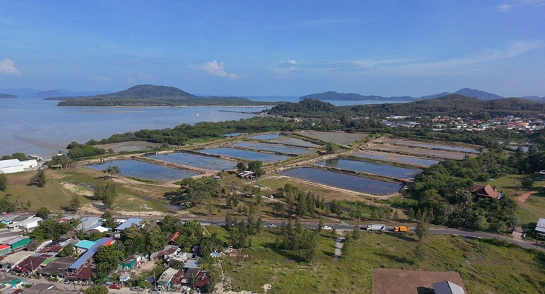 โอกาสการลงทุนสุดพิเศษในตลาดการท่องเที่ยวท่าจอดเรือที่กำลังเติบโตของภูเก็ต