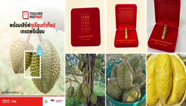 Mid Month Sale! ไปรษณีย์ไทย ส่ง ThailandPostMart ขนของดีทั่วไทย